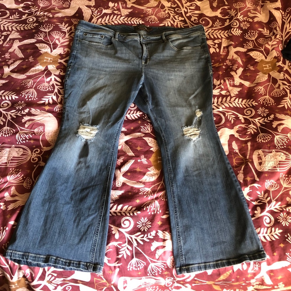 Torrid premium stretch boot cut jean